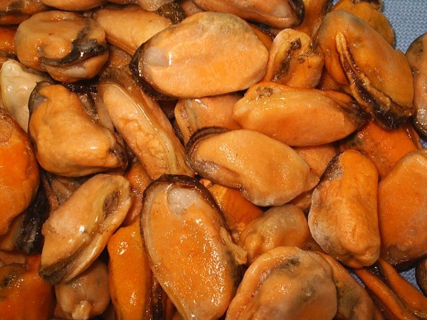 Shelled mussel - IQF -...