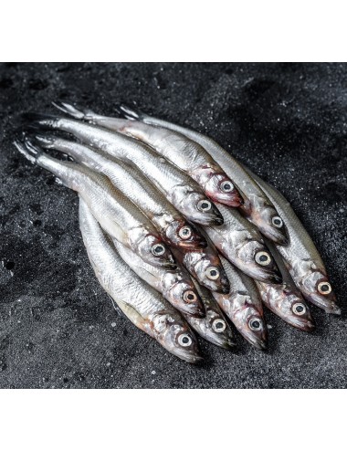 Capelin - Block - 18-20 cm - 25/30 ppk
