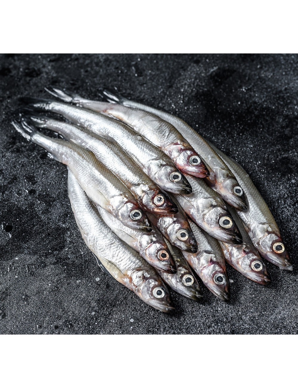 Capelin - Block - 18-20 cm - 25/30 ppk