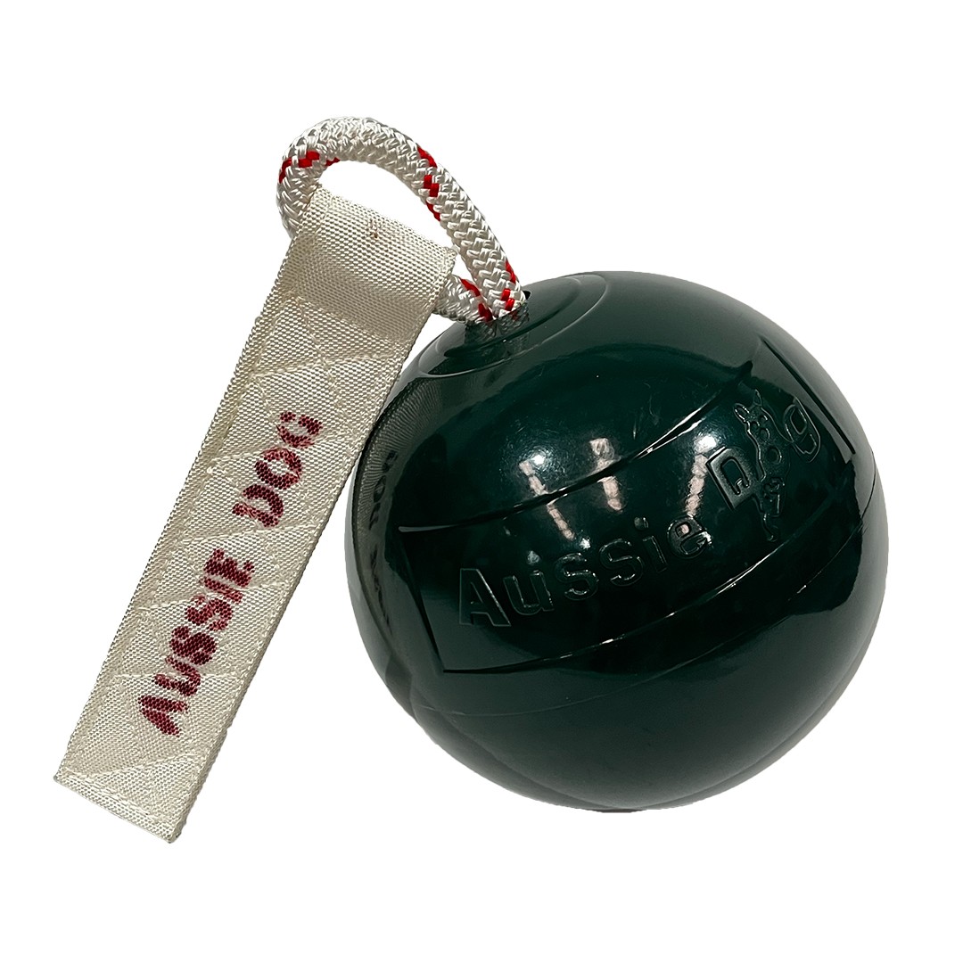 ZUR1 Pings Thong Ball for...