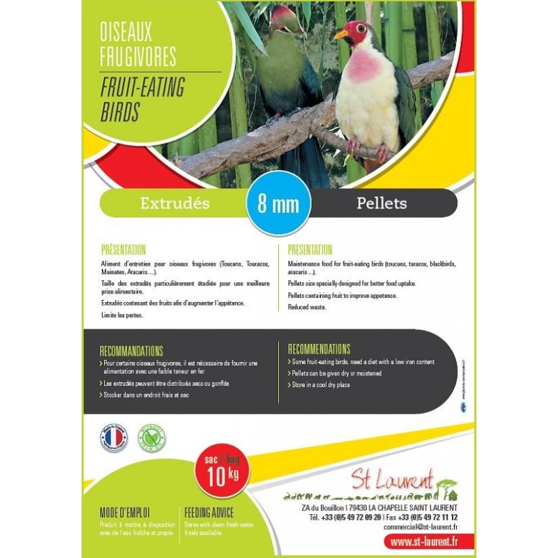Aliment oiseaux frugivores - St Laurent
