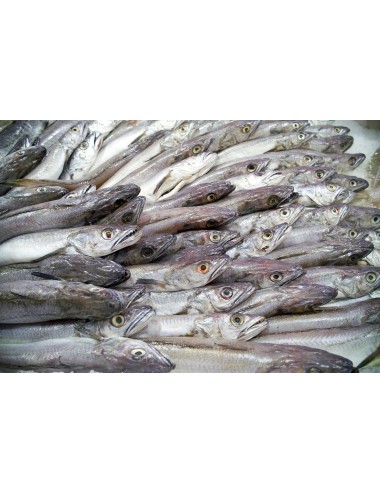 Hake - Block - 7/9 ppk