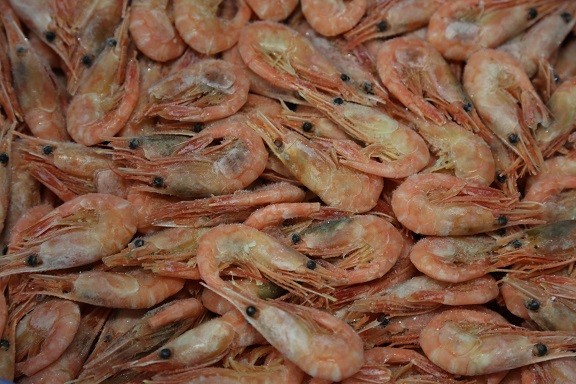 Whole cooked shrimp - IQF