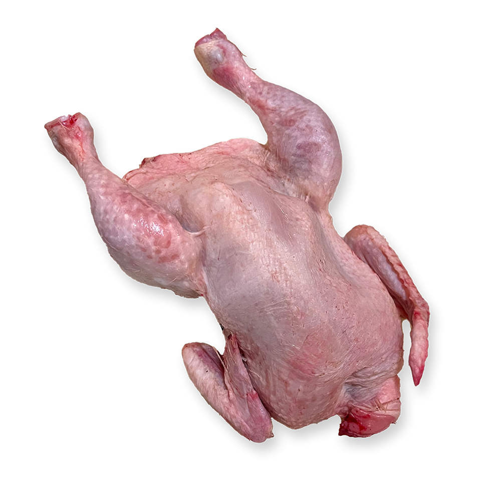 Whole Chicken - Block -...