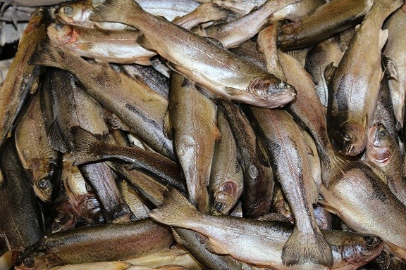 Trout - Block - 200-400 g