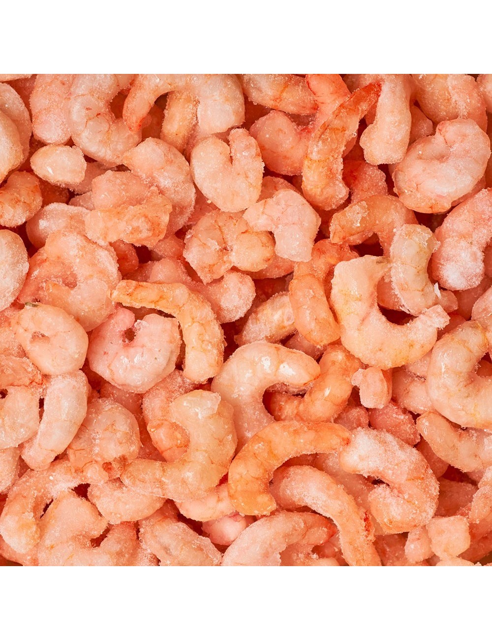 Peeled cooked shrimp - IQF - 300/500 ppk