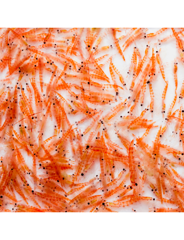 Krill Pacifica - Bloc - 20x100 g