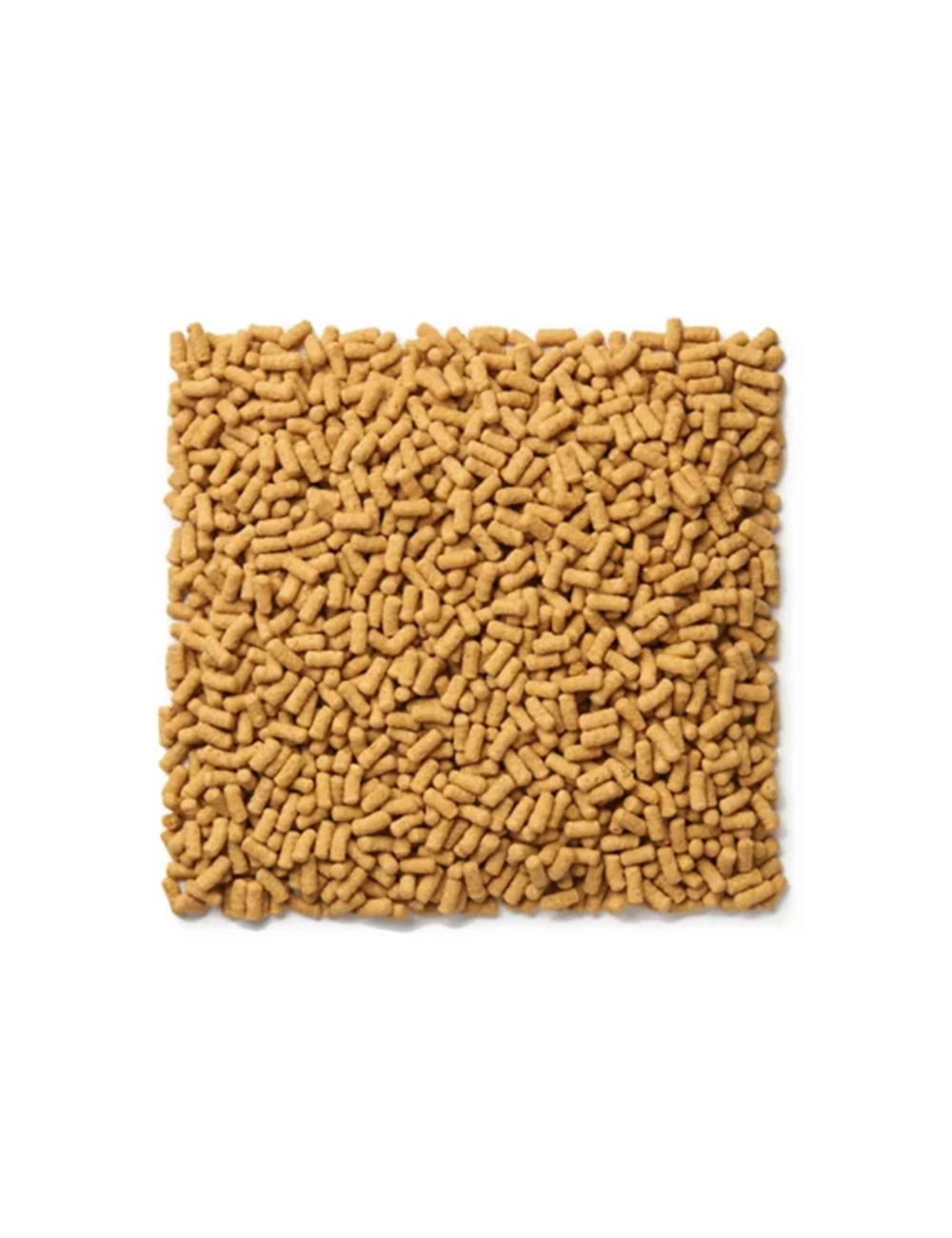 Softbill Diet