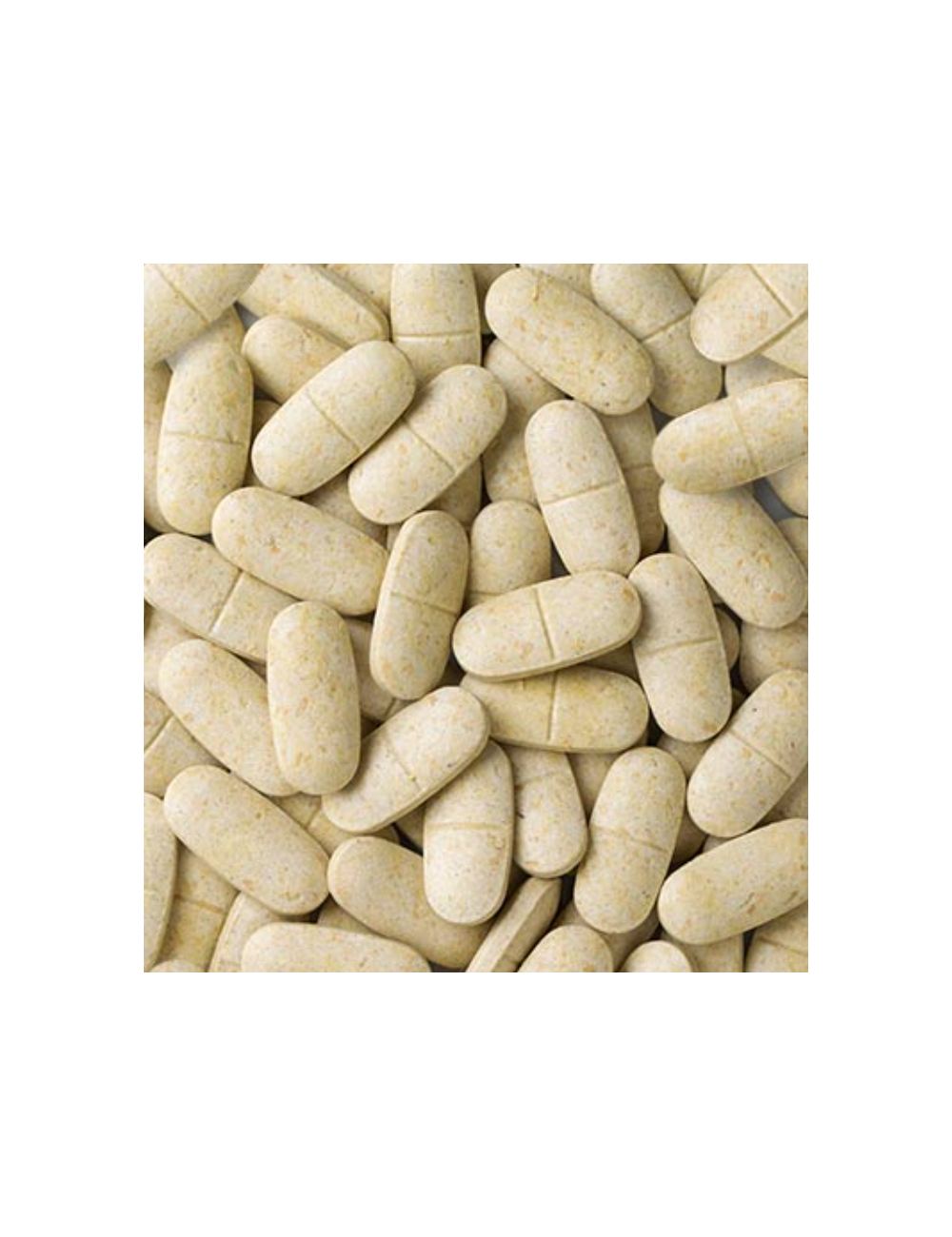 Shark & Ray Supplement 1,5 g