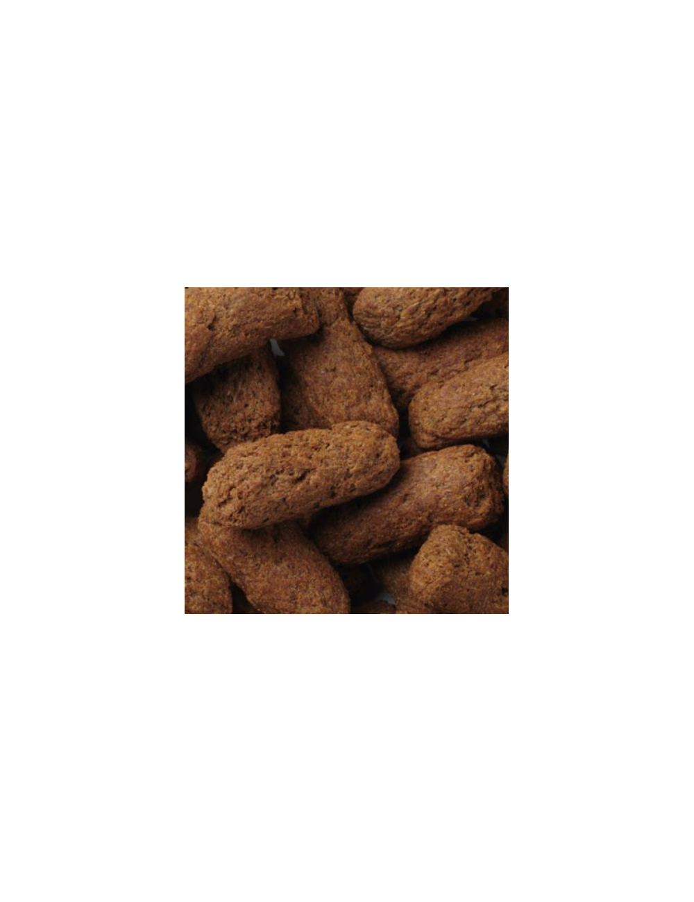 Primate LS Biscuit - Large