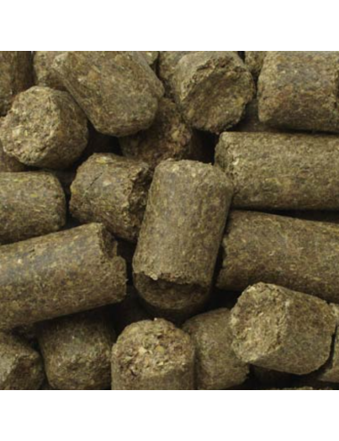 Elephant Supplement