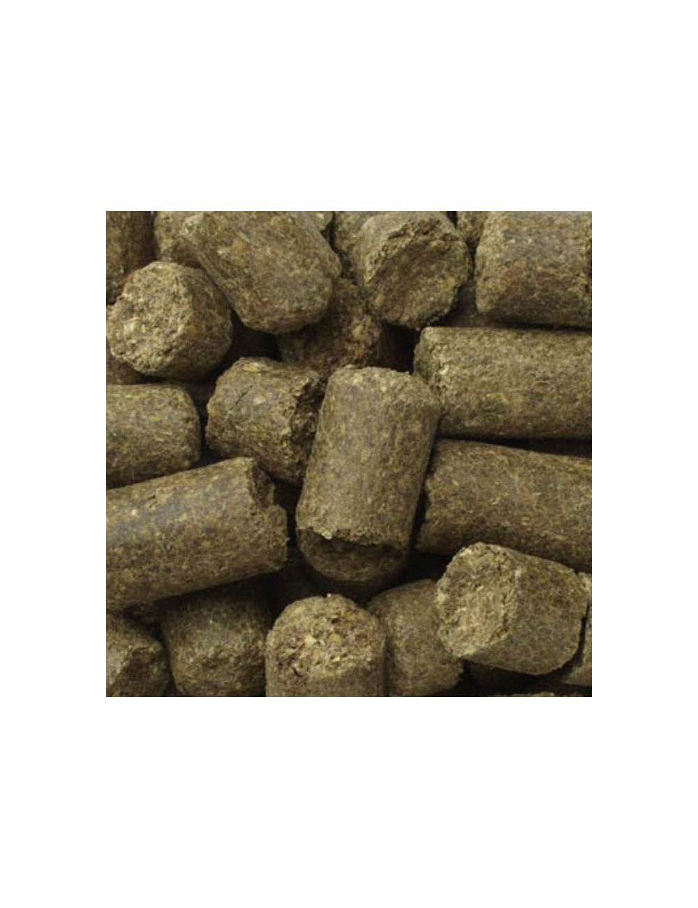 Elephant Supplement