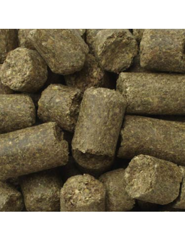 Grain-Free Hay Enhancer Supplement