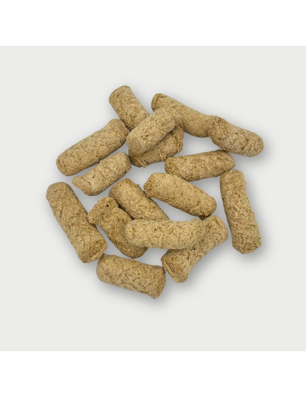 Primate Nuevo Mundo (E)