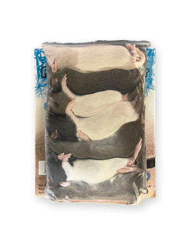 Rat - IQF - 51-90 g