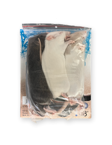 Rat - IQF - 151-250 g