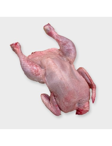 Gutted chicken - Block - 800-2500 g
