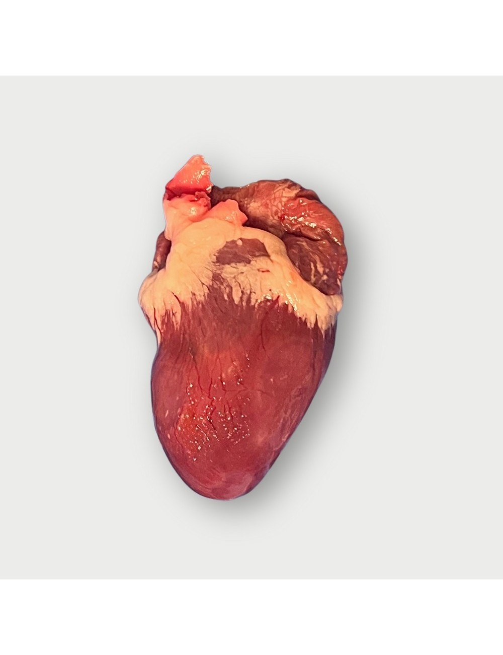 Turkey - Heart - 10x2.5 kg