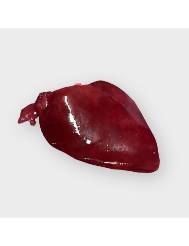 Turkey - Liver - 20x500 g