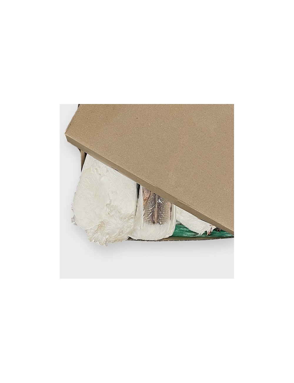 Adult pigeon - IQF - 400-800 g