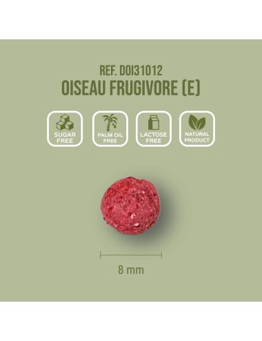 Oiseau Frugivore (E)