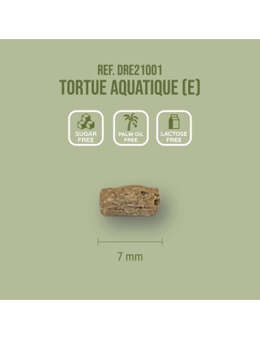 Tortuga Acuática (E)