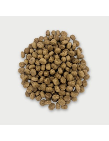 Perroquet Nature (E) - 15 kg