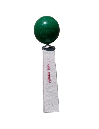 Pings Thong Ball - ZUR1