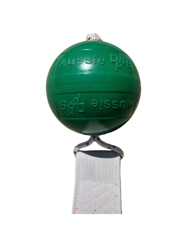 Pings Thong Ball - ZUR1