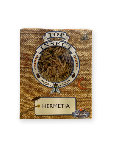 Larve Hermetia - IQF