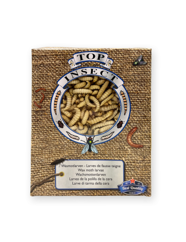 Larve de teigne de Ruche - IQF