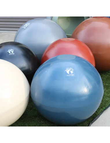 ZBNB9715 Rattle Ball