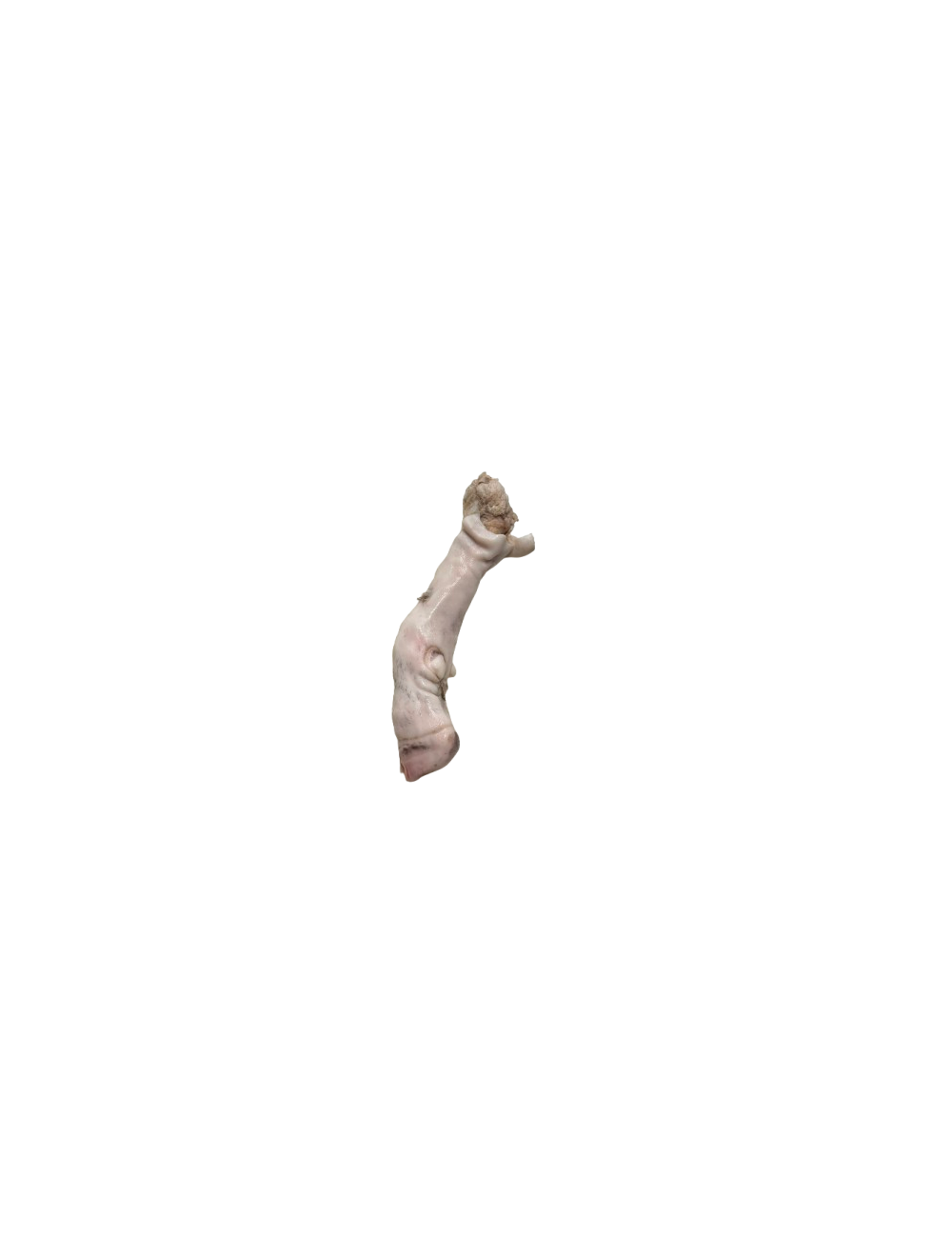 Lamb - Foot - IQF