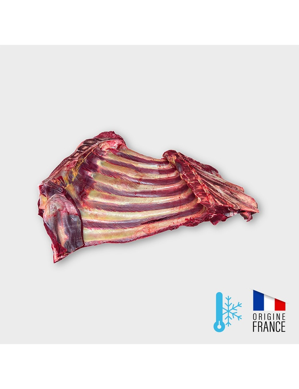 Boeuf - avec os - coffre