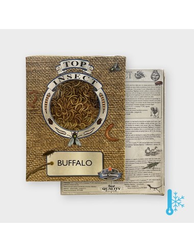 Larve de Buffalo - IQF