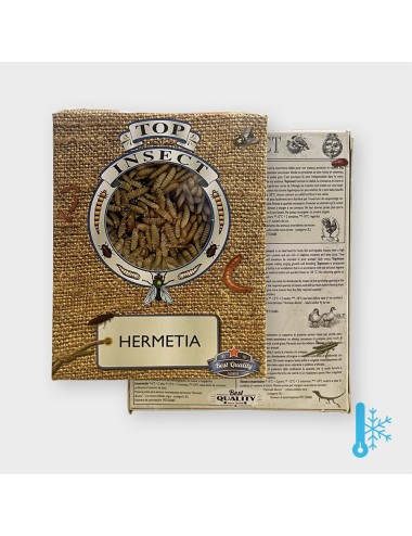 Larve Hermetia - IQF