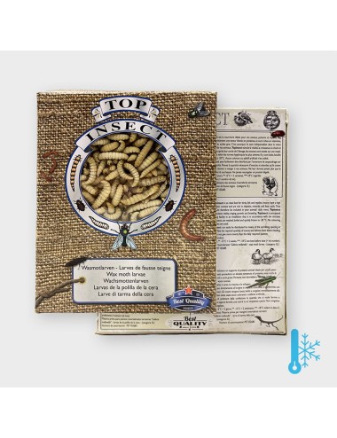 Larve de teigne de Ruche - IQF