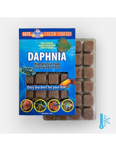 Daphnia - Bloc - 20x100 g