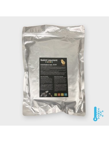Poussin d'un jour - 1 kg