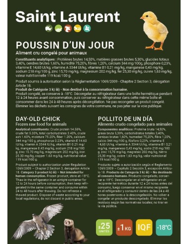 Poussin d'un jour - 1 kg