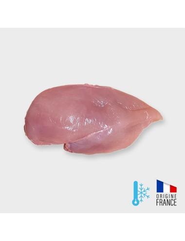Pollo - filete - IQF