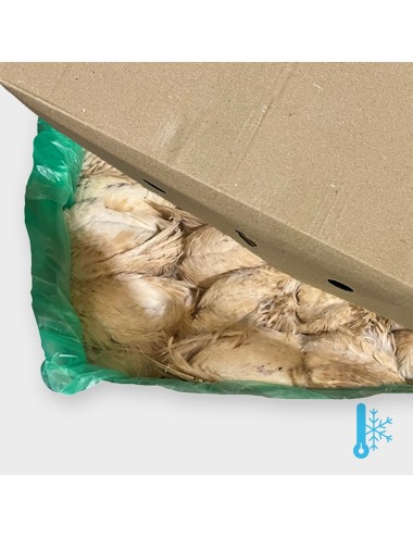 Codorniz - Ponedora Pequeña Premium - IQF - 180-220 g
