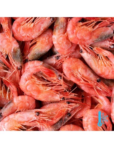 Whole cooked shrimps - IQF - 90/120 ppk