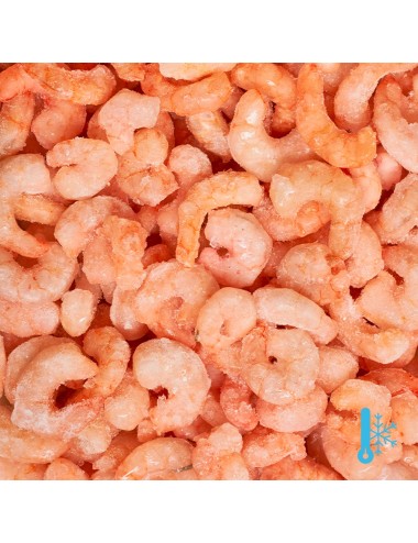Camarones pelados cocidos - IQF - 300/500 ppk
