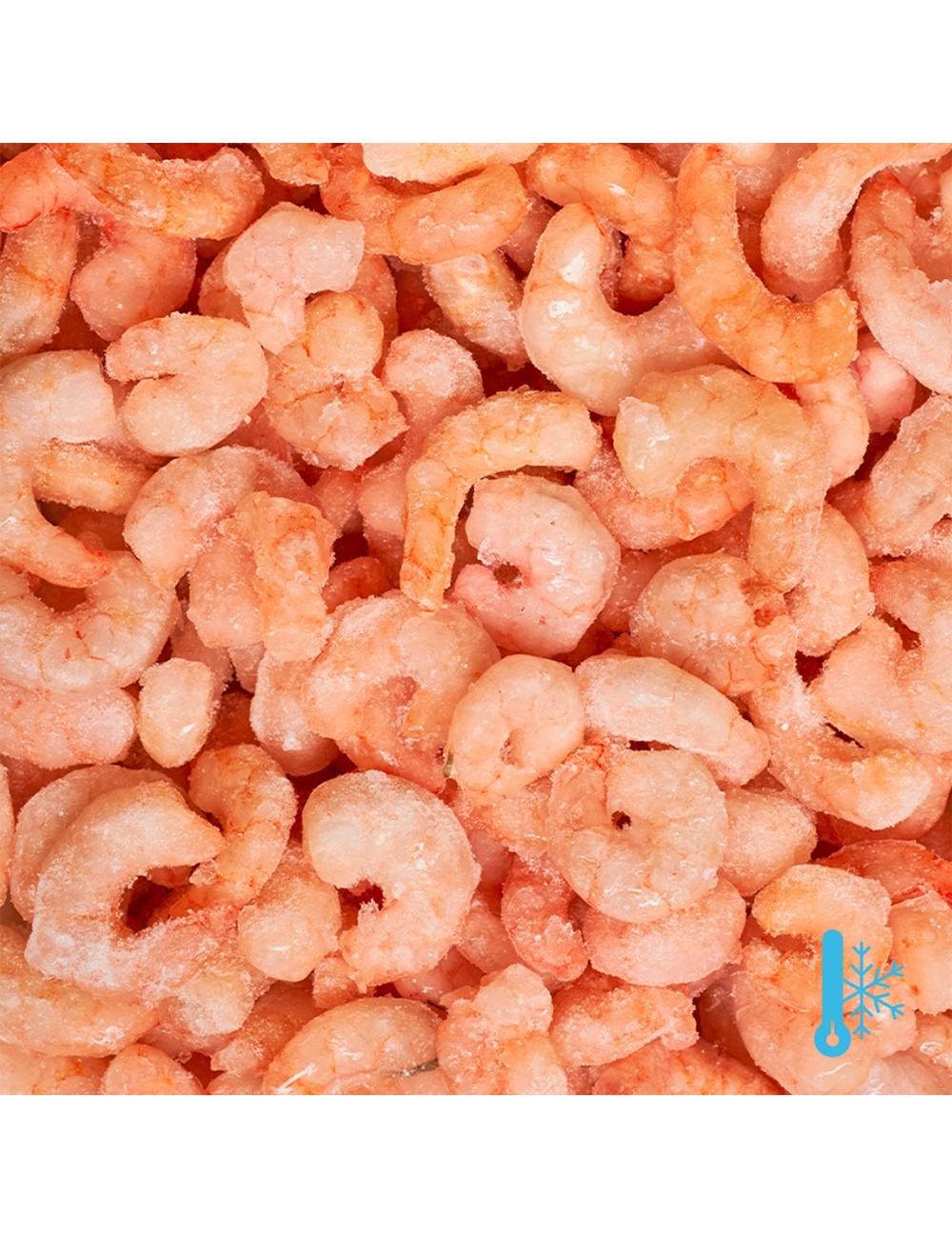 Peeled cooked shrimps - IQF - 300/500 ppk