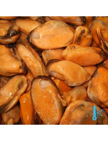 Carnes mejillones rotos - IQF - 300/500 ppk