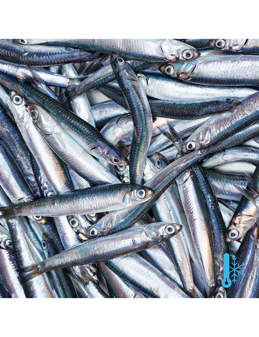 Anchovy - IQF - 50/80 ppk
