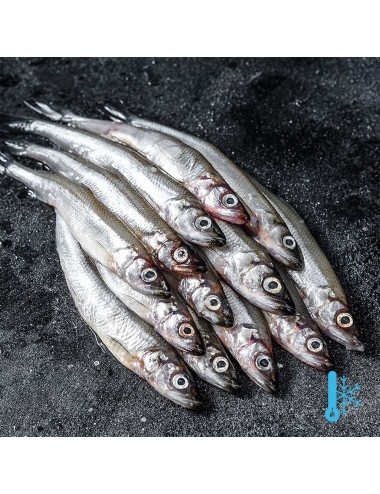 Capelin - Block - 18-20 cm - 25/35 ppk
