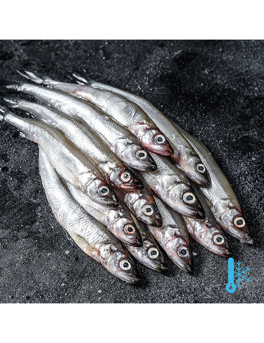 Capelin - Block - 18-20 cm - 25/35 ppk