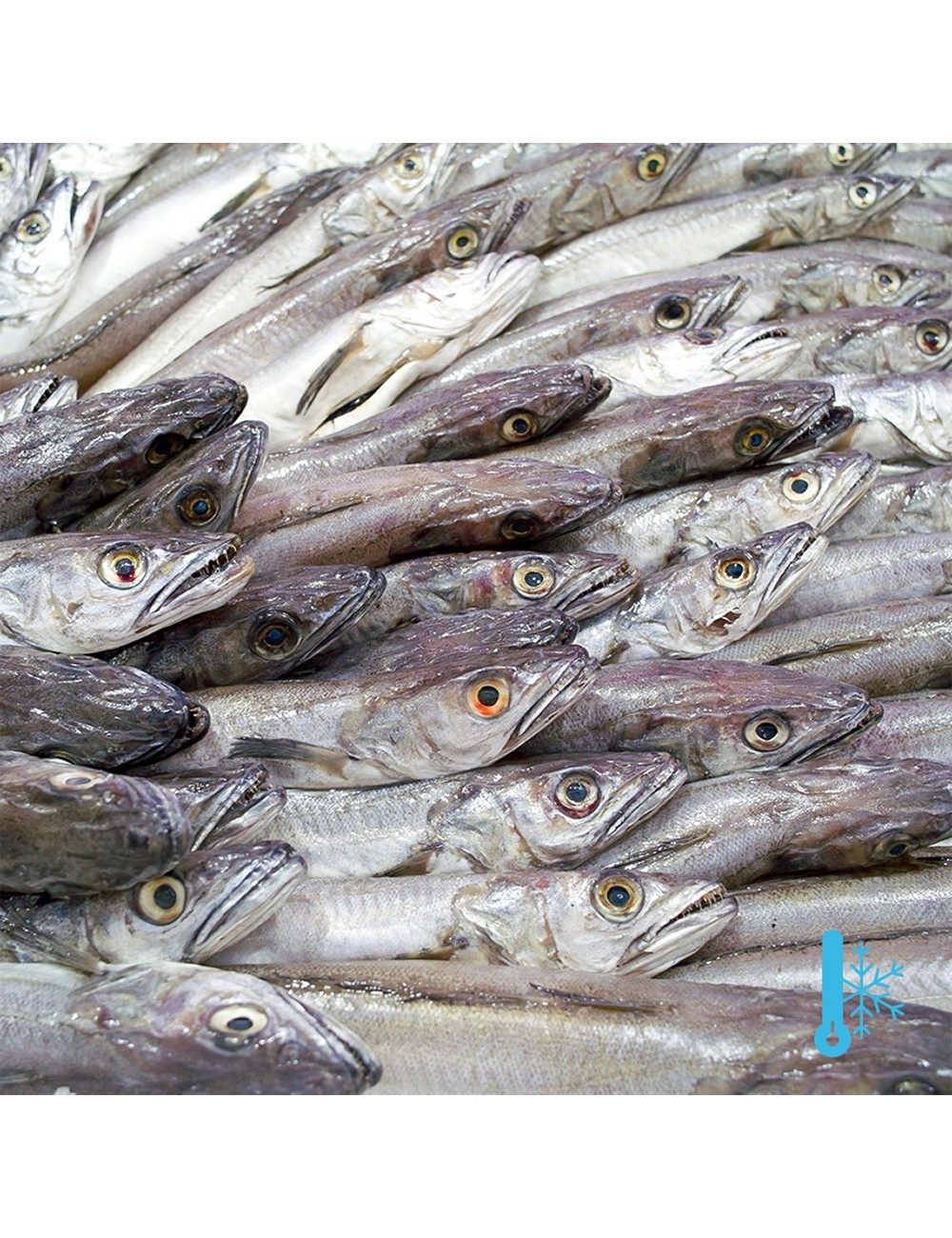 Hake - Block - 7/9 ppk